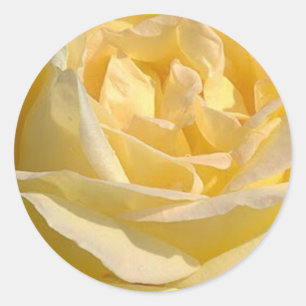 Sticker Rond Délicat Rose jaune