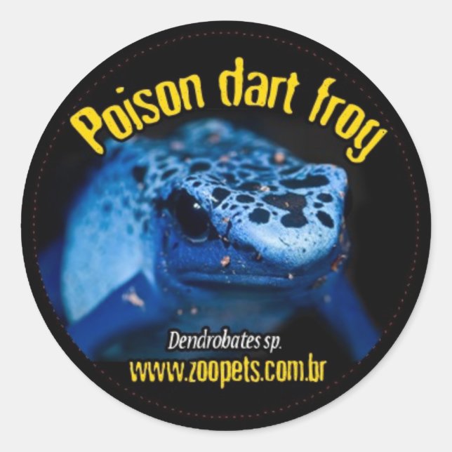 Sticker Rond dendrobates (Devant)