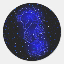 des chevaux de mer nage dans les lumières