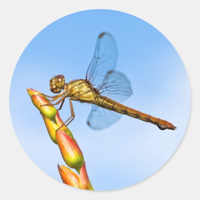 Sticker Rond des kilomètres derrière moi (Devant)