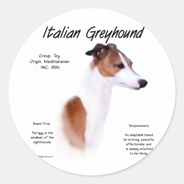 Sticker Rond Design d'histoire Greyhound italien (Devant)