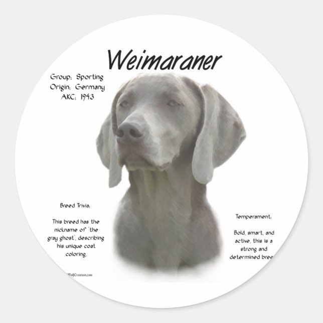 Sticker Rond Design historique Weimaraner (Devant)