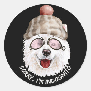 Sticker Rond DÉSOLÉ I'M INDOGNITO (Japanese Spitz) drôle chien