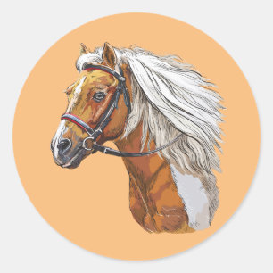 Sticker Rond Dessin à la main portrait de cheval