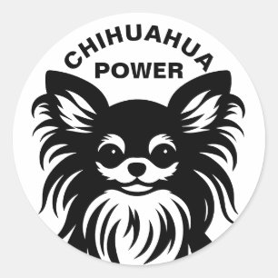 Sticker Rond Dessin animé de Chihuahua mignon à poils longs
