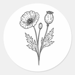 Sticker Rond Dessin au trait botanique de la fleur de pavot