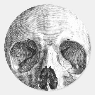Sticker Rond Dessin d'anatomie du crâne humain