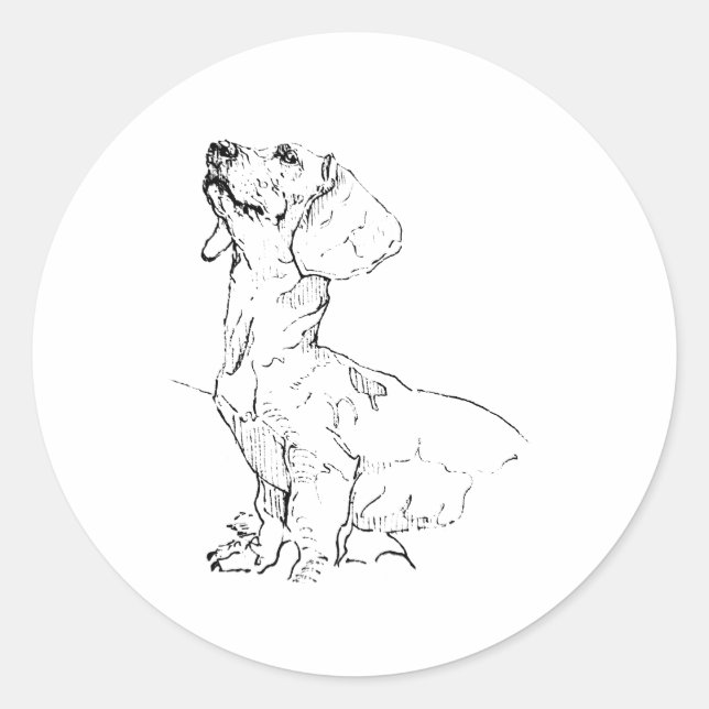 Sticker Rond Dessin de joli teckel, parent de chien (Devant)