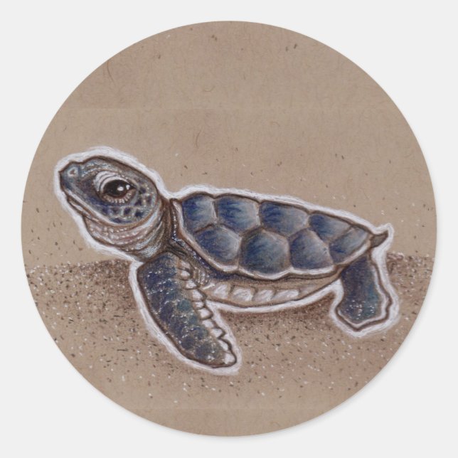Sticker Rond Dessin de la tortue marine (Devant)