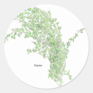 Sticker Rond Dessin de thym