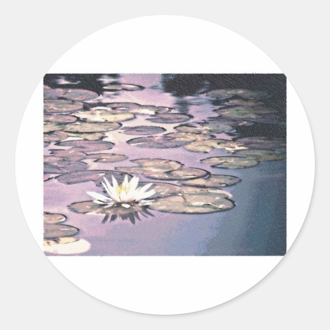 Sticker Rond Dessin Lily Pads (Devant)