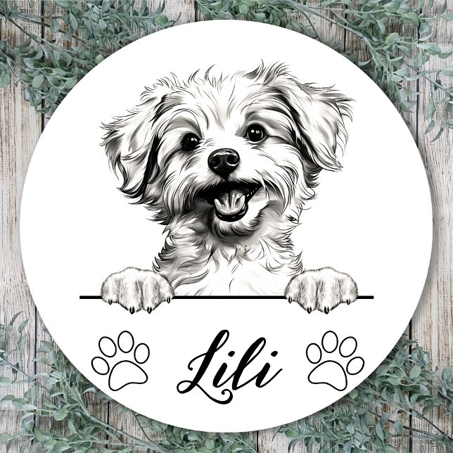 Sticker Rond Dessin personnalisé de chien Pomapoo fait main (Créateur téléchargé)