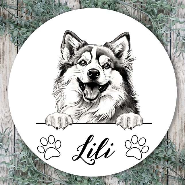 Sticker Rond Dessin personnalisé de chien Pomsky à la main (Créateur téléchargé)