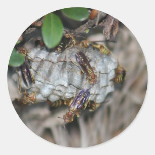 Sticker Rond Détaillants #2