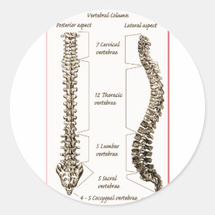 Sticker Rond Détails de la colonne Sepia2