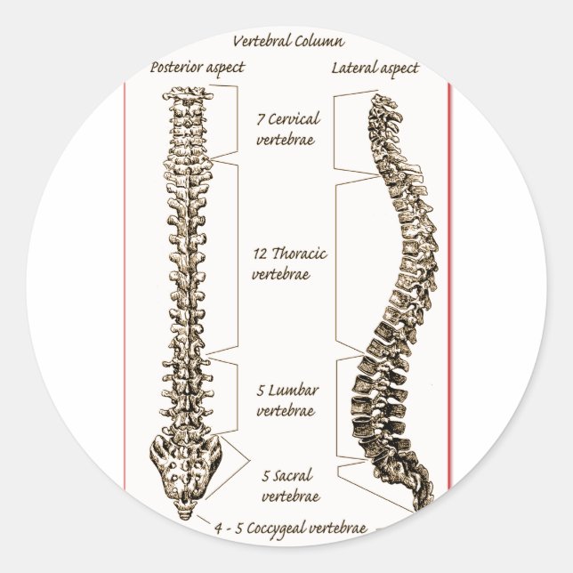 Sticker Rond Détails de la colonne Sepia2 (Devant)