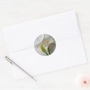 Sticker Rond Deux lys calla frais