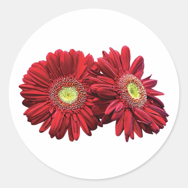 Sticker Rond Deux marguerites rouges (Devant)