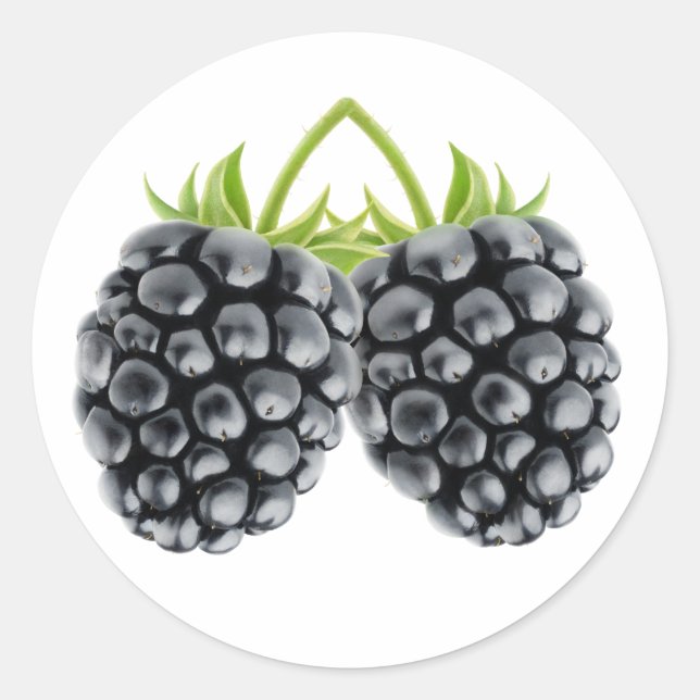 Sticker Rond Deux mûres (Devant)