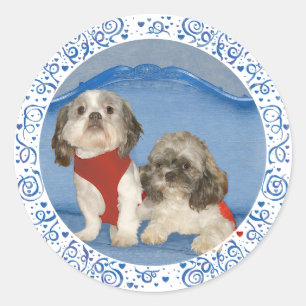 Sticker Rond Deux petits chiens de sauvetage Shih Tzu