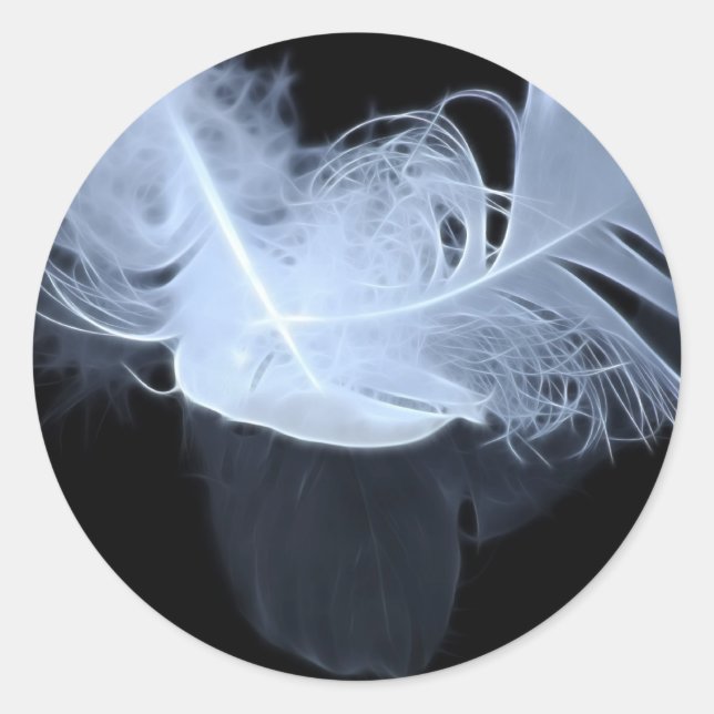 Sticker Rond Deux plumes de flamme et réflexion (Devant)