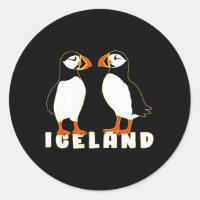 Deux Puffins D'Islande