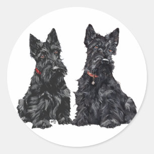 Sticker Rond Deux Terriers écossais noirs