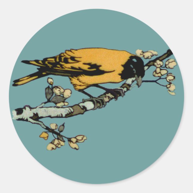 Sticker Rond Développement de l'illustration d'oiseaux Vintages (Devant)