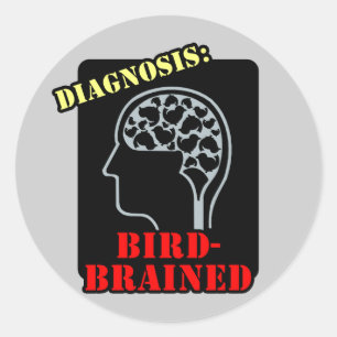 Sticker Rond Diagnostic : Brainé par les oiseaux