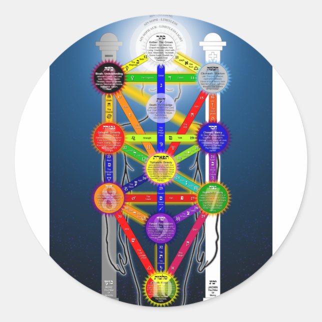 Sticker Rond Diagramme de la structure de l'arbre de vie de la  (Devant)