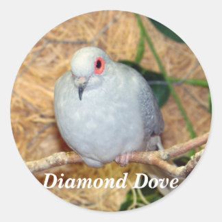 STICKER ROND DIAMOND DOVE