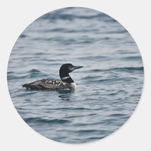 Sticker Rond Dingue commun