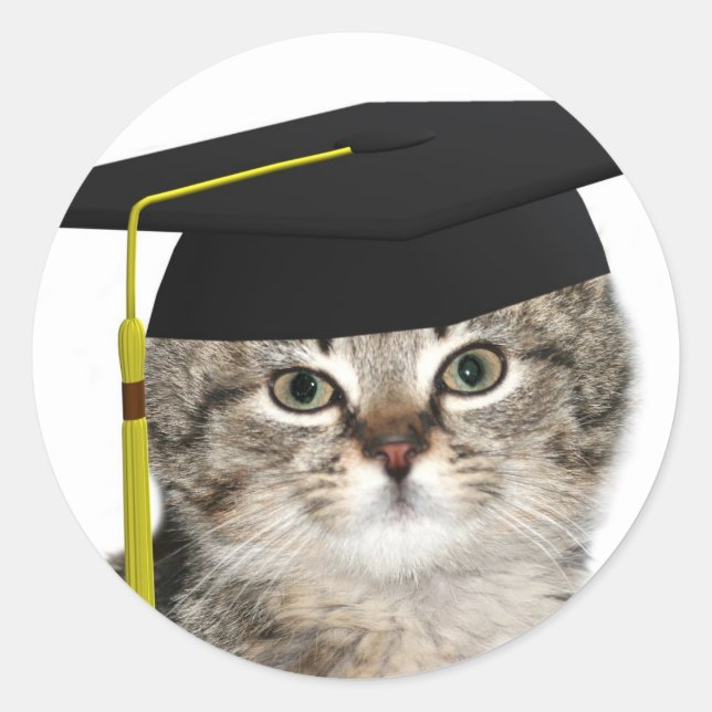 Sticker Rond Diplômés de Kitten (Devant)