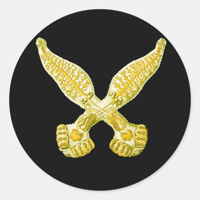 Sticker Rond Diplozoon (Devant)