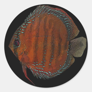 Sticker Rond Disque de Cuipeua