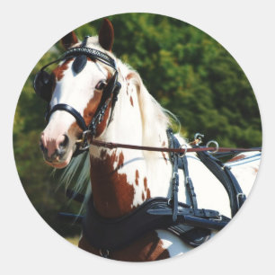 Sticker Rond disque national