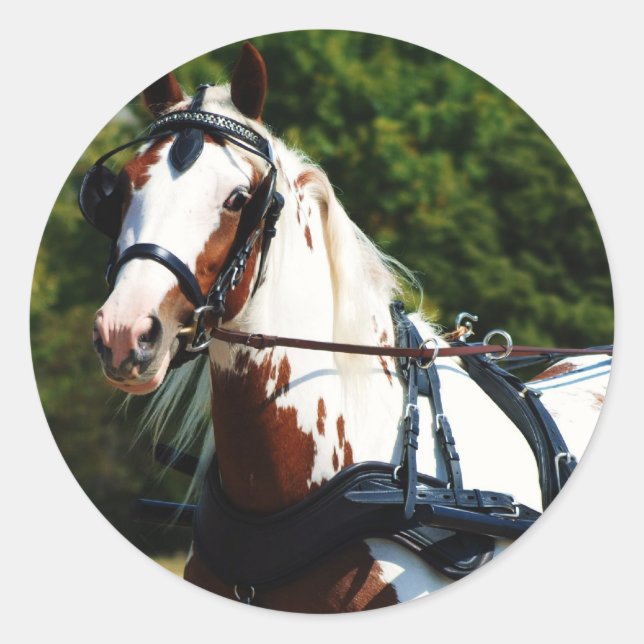 Sticker Rond disque national (Devant)