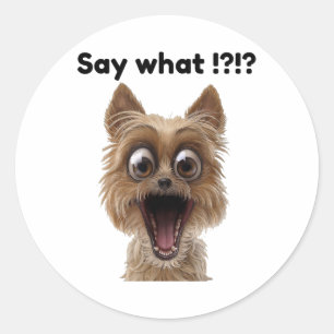 Sticker Rond Dites Quoi !_ Plaisant Amusant Surpris Chien De Ch
