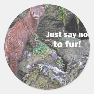 Sticker Rond "Dites simplement non à la fourrure" Mink
