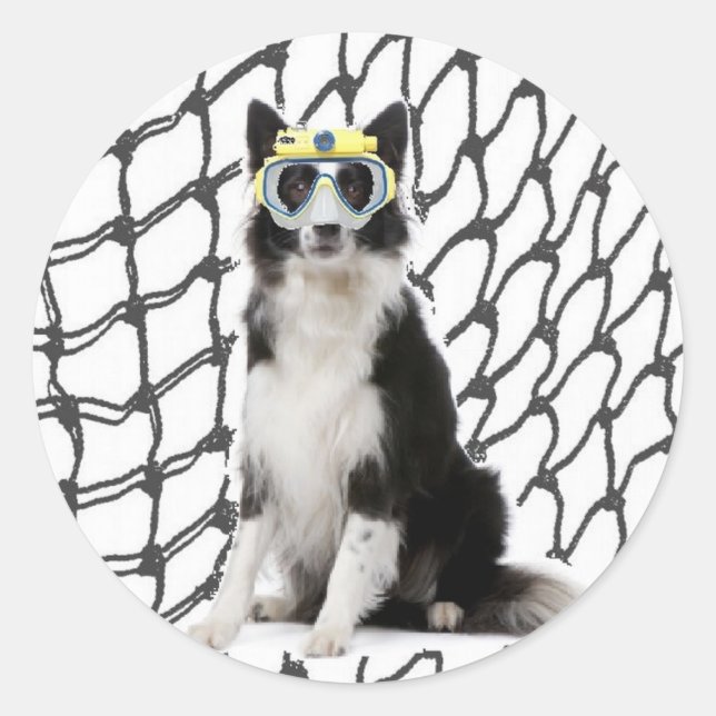 Sticker Rond Ditzy Dogs~Sticker original~Bordure Collie (Devant)