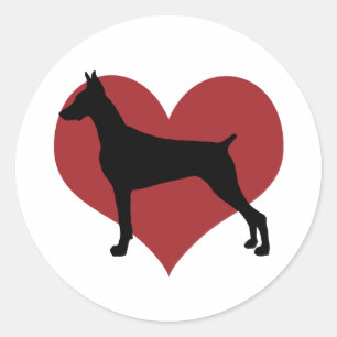 Sticker Rond Doberman