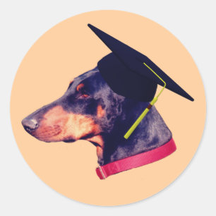 Sticker Rond Doberman Graduate Casquette drôle