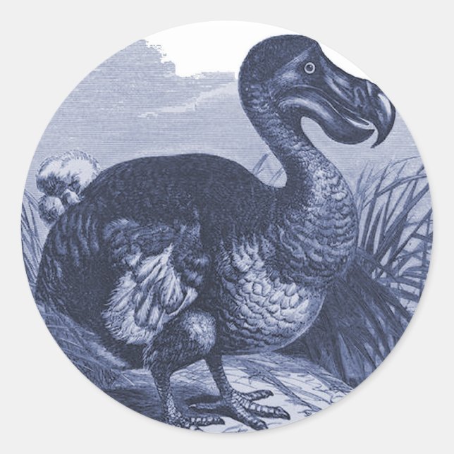 Sticker Rond Dodo Bird (Devant)