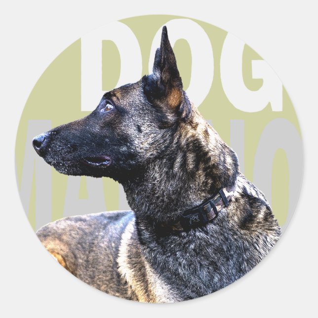 Sticker Rond dog malinois china (Devant)