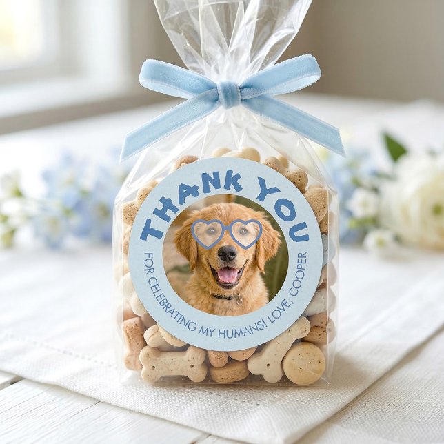 Sticker Rond Doggie Treat Wedding Favors Dog Photo Thank You (Dog Photo Thank You Stickers)
