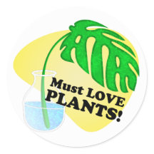 Doit aimer la Monstera Plante