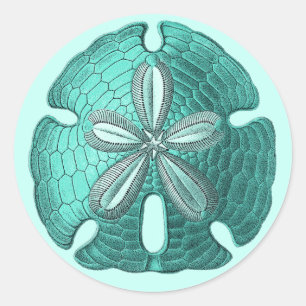 Sticker Rond Dollar Aqua Sand