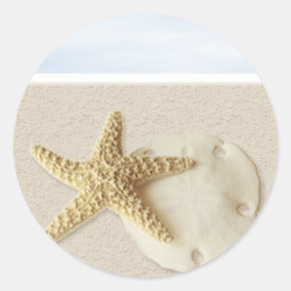 Sticker Rond Dollar Starfish & Sand