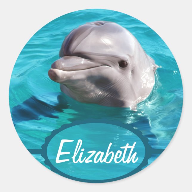 Sticker Rond Dolphin dans Blue Water Photo (Devant)