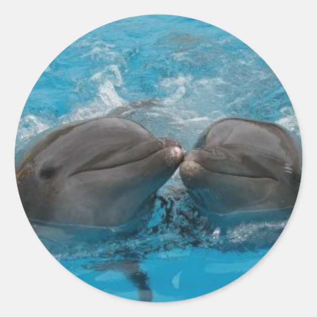 Sticker Rond Dolphin Kiss (Devant)